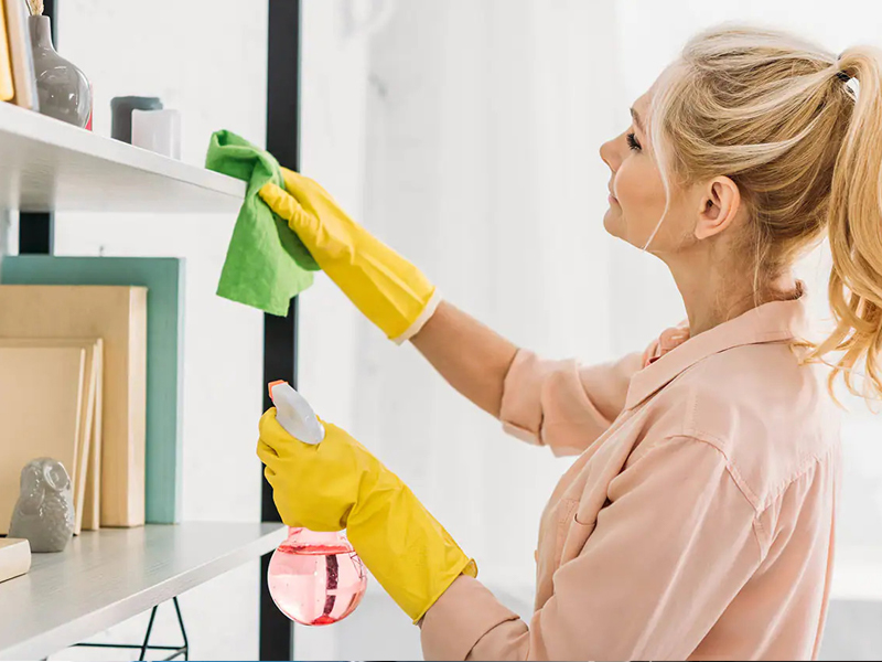 Perfect Home Cleaning Services